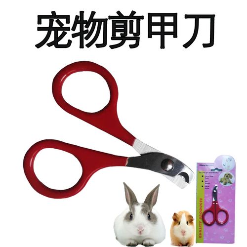 寵物兔與龍貓必備 專業(yè)指甲剪的選購(gòu)與使用指南