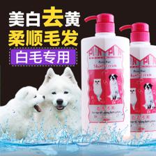 魔幻貝貝寵物用品店11月狂歡 引領(lǐng)品質(zhì)寵物生活新體驗(yàn)