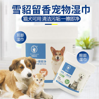 2019“尖叫”寵物界領(lǐng)袖大會(huì)盛況空前，頭部品牌商共繪行業(yè)發(fā)展新藍(lán)圖