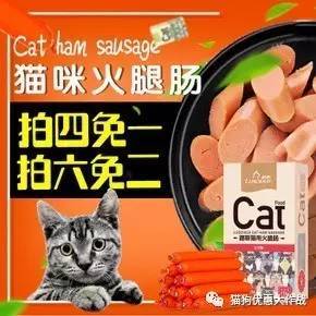 7月27日 精選寵物生活用品優(yōu)惠券，為愛(ài)寵打造舒適生活
